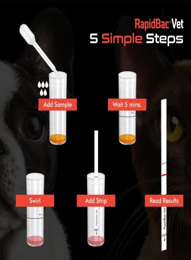 WaterSafe RapidBac™ Vet – 15-Minute at-Home Urine Test for Dogs and Cats to Quickly Screen for UTI Causing Bacteria, 1 Pack - Image 2
